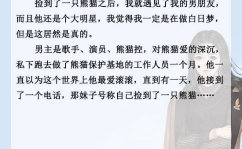 原单娱乐圈推文,揭秘明星幕后故事