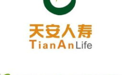 天安人寿,保险业的创新与发展传奇