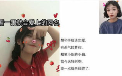 最狠的网名,揭秘网络江湖中的犀利人生