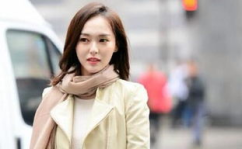 娱乐小说女主是刘涛,娱乐小说中的璀璨女主角