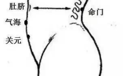寒湿的症状,寒湿症状解析与应对策略