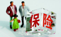 保险赔付,流程解析与关键要点
