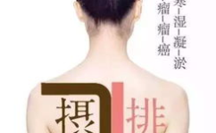 寒湿的症状,寒湿症状解析与应对策略