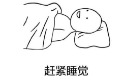 周而复始打一个生肖,探寻十二生肖的神秘魅力
