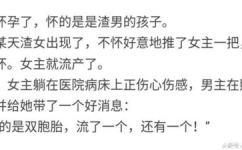搞笑网文,搞笑网文里的欢乐时光